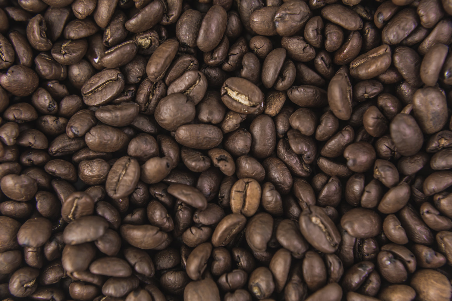 Kona Dark Roast Coffee Sloan Grown